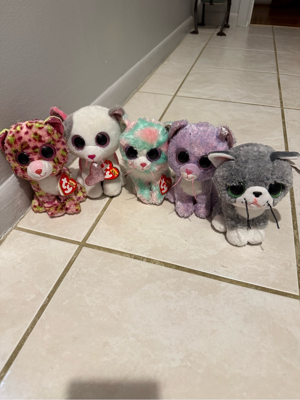 Ty Beanie Boos Plush Cats - Pink, White, Mint, Purple, Gray Set
